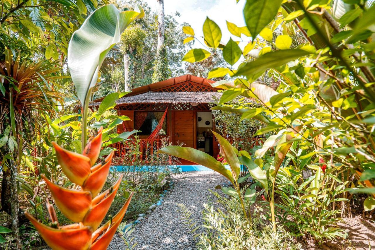 Puerto Viejo de Talamanca Casitas Las Flores מראה חיצוני תמונה