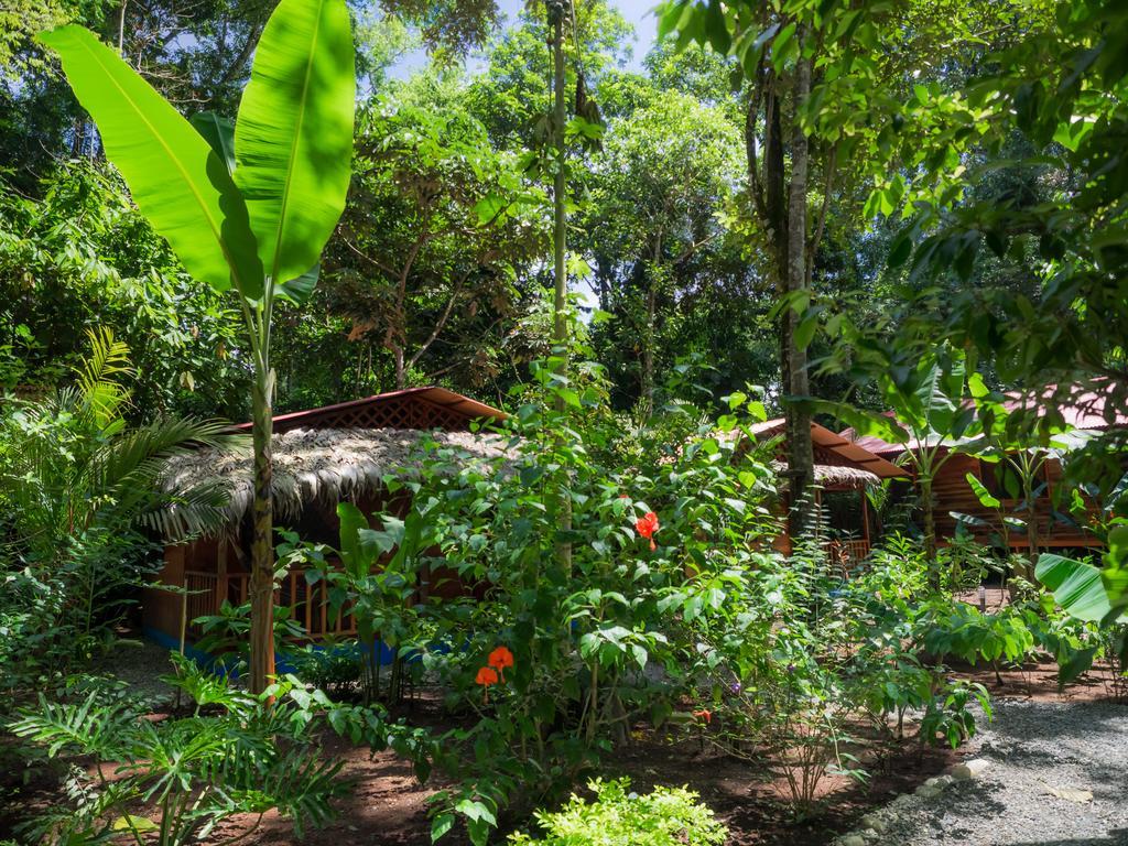 Puerto Viejo de Talamanca Casitas Las Flores מראה חיצוני תמונה