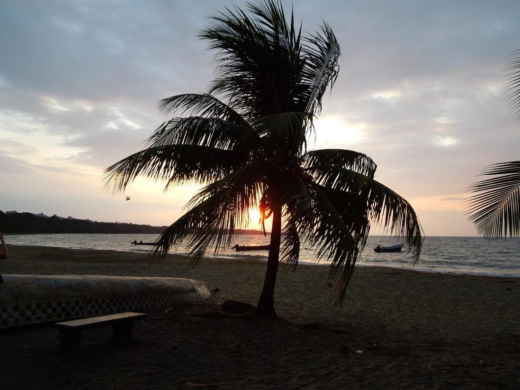 Puerto Viejo de Talamanca Casitas Las Flores מראה חיצוני תמונה